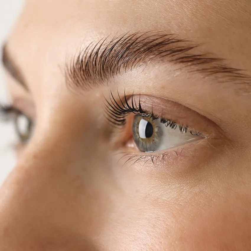 Brow Tint & Tweeze