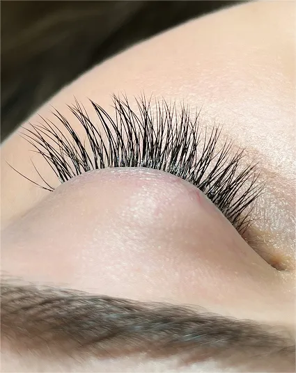 Classic Lashes