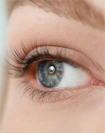 Light Volume Lashes