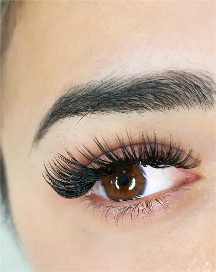 Mega Volume Lashes